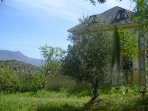 Lemroudj, printemps 2010