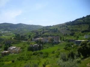 Lemroudj, printemps 2010