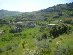 Lemroudj, printemps 2010