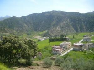 Lemroudj, printemps 2010