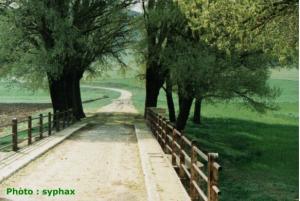 la sortie de kais vers khenchela autre fois