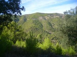 Paysage naturel de Lemroudj 20.10.2010