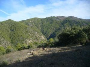 Paysage naturel de Lemroudj 20.10.2010