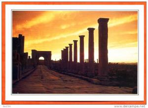 Afrique ALGERIE Aurès vestiges de la ville de Timgad