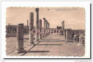 Algerie CPA Ruines romaines de Timgad Portique Nord du forum