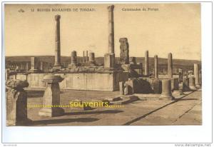 CPA   ALGERIE  TIMGAD  Colonnades du Forum - ** prix nets **