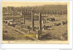 CPA   ALGERIE  TIMGAD  Ensemble du Forum - ** prix nets **