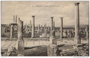 Algerie-Carte postale neuve-archéologie-Timgad- Cardo Sud et Temple-2/scans