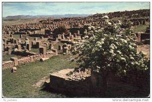 pw37262 Timgad Les ruines vue generale Kat. Algerien