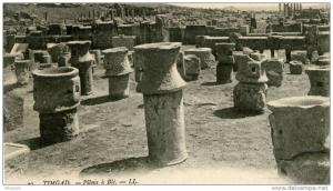 timgad pilons à ble 20 LL colorisée