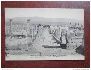 Timgad Ruines Romaines Vole du Cardo The north Cardo way Algerien CPA AK