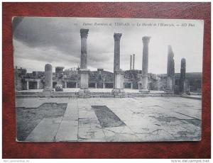 Timgad Ruines Romaines Le Marche de l´ Hemicycle Algerien CPA AK