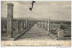 Fev13 276  Timgad  -  Ruines Romaines  -  Voie du Cardo Maximus nord