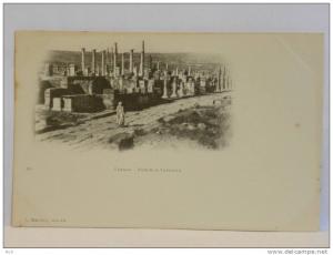 CPA précurseur - Algérie - TIMGAD - Forum et Capitole