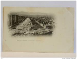 CPA précurseur - Algérie - TIMGAD - Ensemble des ruines pris du Capitole