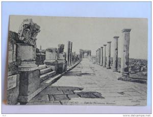 CPA Algérie - Ruines Romaines de Timgad - Voie du Décumanus Maximus
