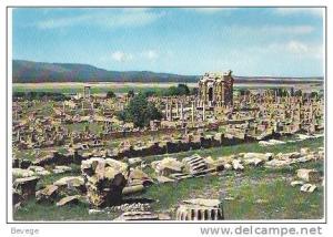 34-611 // ALGERIA -  TIMGAD -  ROMAN RUINS  1973