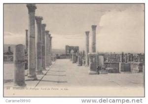 Timgad           portique Nord du Forum                    scan 2960