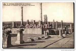 CPA Ruines Romaines De Timgad Colonnades et Tribunes aux Harengu