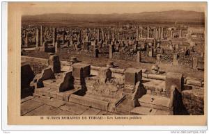 ruines romaines de timgad les latrines publics