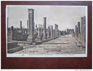 Ruines Romaines de Timgad Voie du Decumanus Maximus Algerie Algerien AK CPA