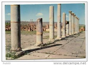 ALGERIA - AK142800 Timgad - Le Forum