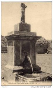 CPA   ALGERIE---TIMGAD---FONTAI NE DU MANEQUINN PISS