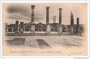 TIMGAD LE MARCHE ,l´hémicycle