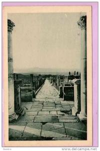 CPA/K44/ALGERIE TIMGAD VOIE DU CARDO NORD