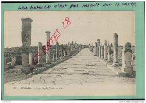 AGERIE, TIMGAD,  Voie Cardo Nord.   Oct  2012 GER-418