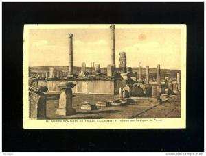 ALGERIE LOT DE 25  CARTES  RUINES ROMAINES DE TIMGAD  séries musée et ND  ( tous les scans recto verso )