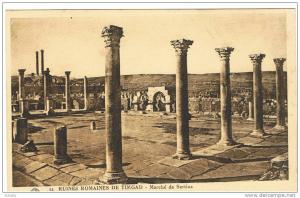 RUINES ROMAINES DE TIMGAD  MARCHE DE SERTIUS