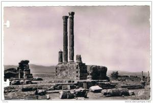 RUINES ROMAINES DE TIMGAD  COLONNE DU PRONAOS DU CAPITOLE