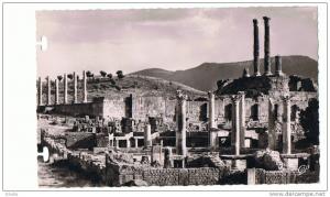RUINES ROMAINES DE TIMGAD  MARCHE DE SERTIUS ET LE CAPITOLE