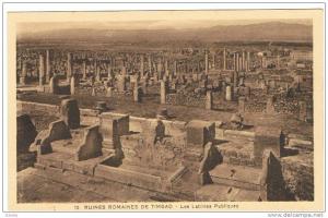 RUINES ROMAINES DE TIMGAD  LES LATRINES PUBLIQUES