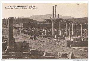 RUINES ROMAINES DE TIMGAD  MARCHE DE SIRTIUS ET COLONNES DU CAPITOLE