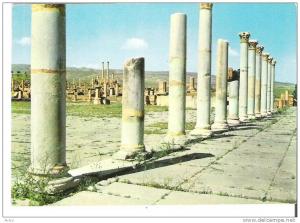 Algeria  -  Timgad  -  Le Forum   -   The Forum