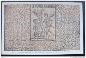 ALGERIE - RUINES DE TIMGAD - Mosaïque des Thermes de Filadelfes