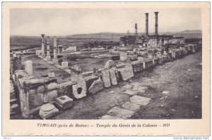 Algérie Timgad - Près de Batna, temple du génie de la colonie