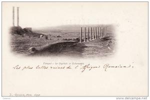 9666   TIMGAD  le capitole et les colonnades    écrite dos non séparé   très bon état