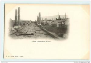 ALGERIE  TIMGAD   DECUMANUS  MAXIMUS