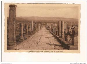 algerie ruines romanes de TIMGAD voie du gardo nord