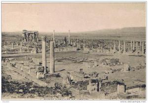 afriquealgerie. ruines romaines  de timgad. vue d´ensemble du forum