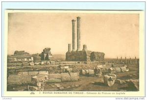 Ruines Romaines de TIMGAD / Colonnes du Pronaos du Capitole