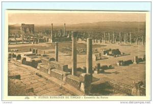 Ruines Romaines de TIMGAD / Ensemble du Forum