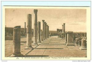 Ruines Romaines de TIMGAD / Portique Nord du Forum