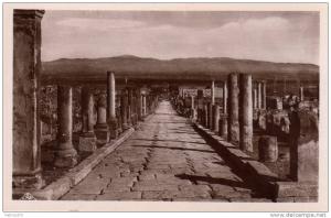 ALGERIE TIMGAD - LOT de 7 CARTES Ruines romaines