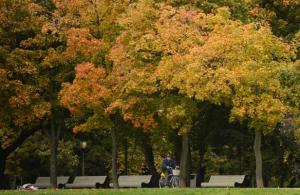 Planète - Moscou lance son programme de vélos en libre-service