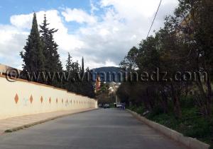 Rues de Tlemcen  Les Cerisiers, CEM Pasteur