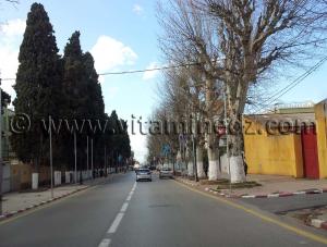 Rues de Tlemcen  Allée des Pins (Rue El Azzouni Redouane)